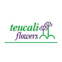 Teucali Flowers logo